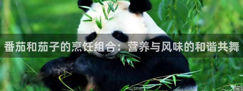 高血糖病人能吃脆瓜吗：番茄和茄子的烹饪组合：营养与风味的和谐共舞