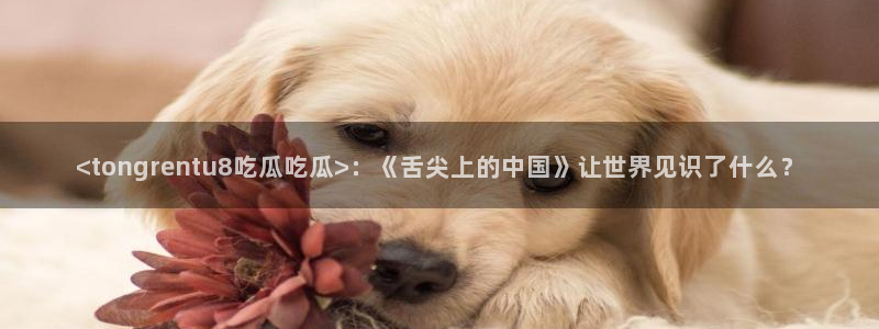 91吃瓜网今日吃瓜入口：<tongrentu8吃瓜吃瓜>：《舌尖上的中国》让世界见识了什么？