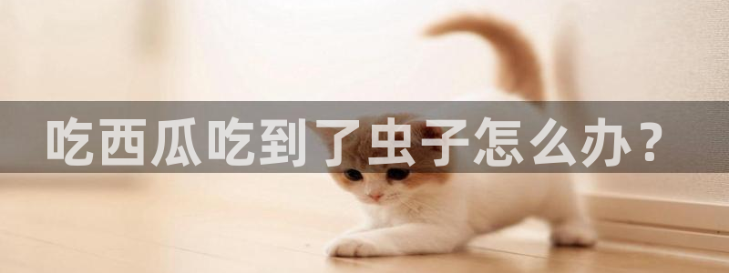 51吃瓜网每日榜单：吃西瓜吃到了虫子怎么办？