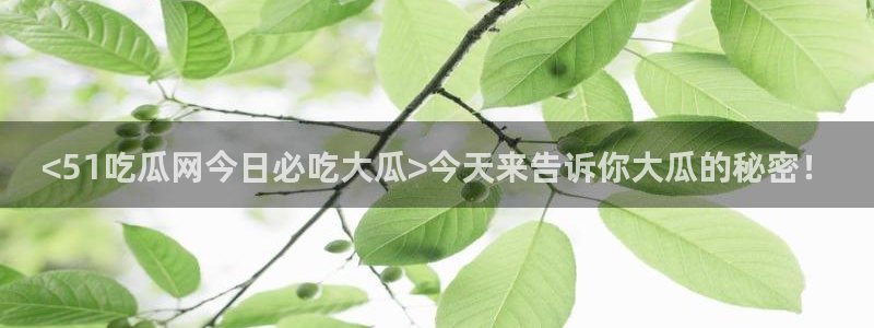 吃瓜.