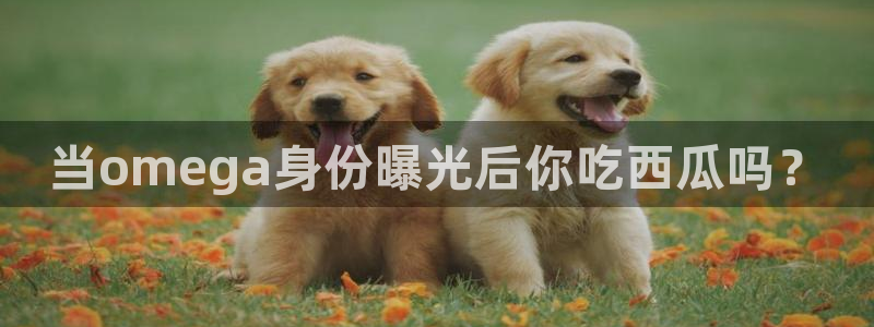51吃瓜.world张津瑜：当omega身份曝光后你吃西瓜吗？