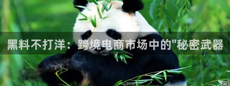 51吃瓜网热门黑料：黑料不打洋：跨境电商市场中的\