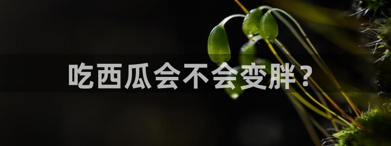 吃瓜吃到自己死讯：吃西瓜会不会变胖？
