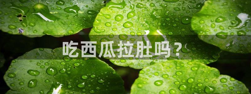 91cg.fun今日吃瓜：吃西瓜拉肚吗？