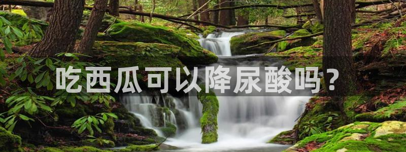 吃瓜爆料网不打烊回家：吃西瓜可以降尿酸吗？