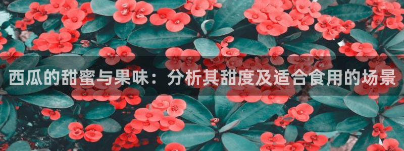 吃瓜电影：西瓜的甜蜜与果味：分析其甜度及适合食用的场景