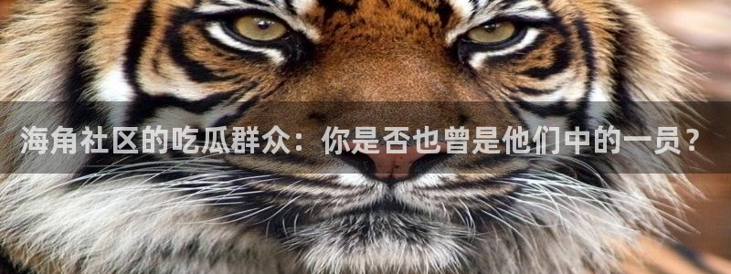 网站吃瓜：海角社区的吃瓜群众：你是否也曾是他们中的一员？