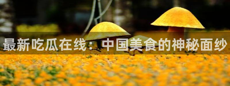 高血糖能吃籽瓜吗
