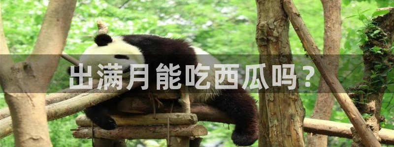 吃瓜不打烊–吃瓜,不打烊：出满月能吃西瓜吗？