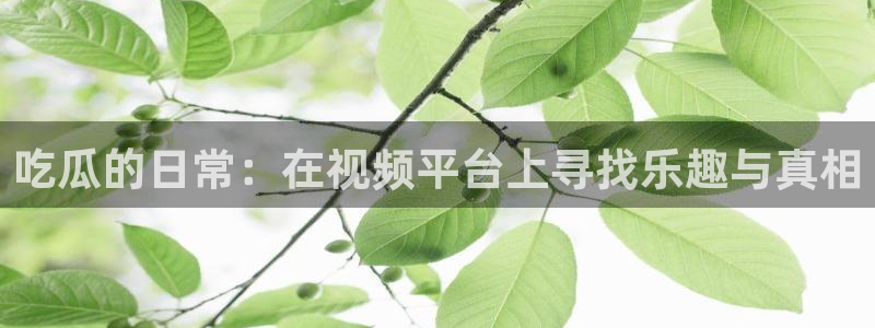 51吃瓜今日吃瓜必吃莫里：吃瓜的日常：在视频平台上寻找乐趣与真相