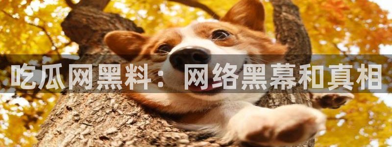 吃瓜网今日吃瓜 热门大瓜：吃瓜网黑料：网络黑幕和真相